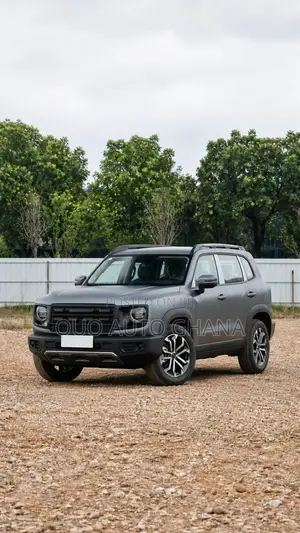 Haval Big Dog 2025 Gray