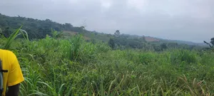Farm Land at Aburi