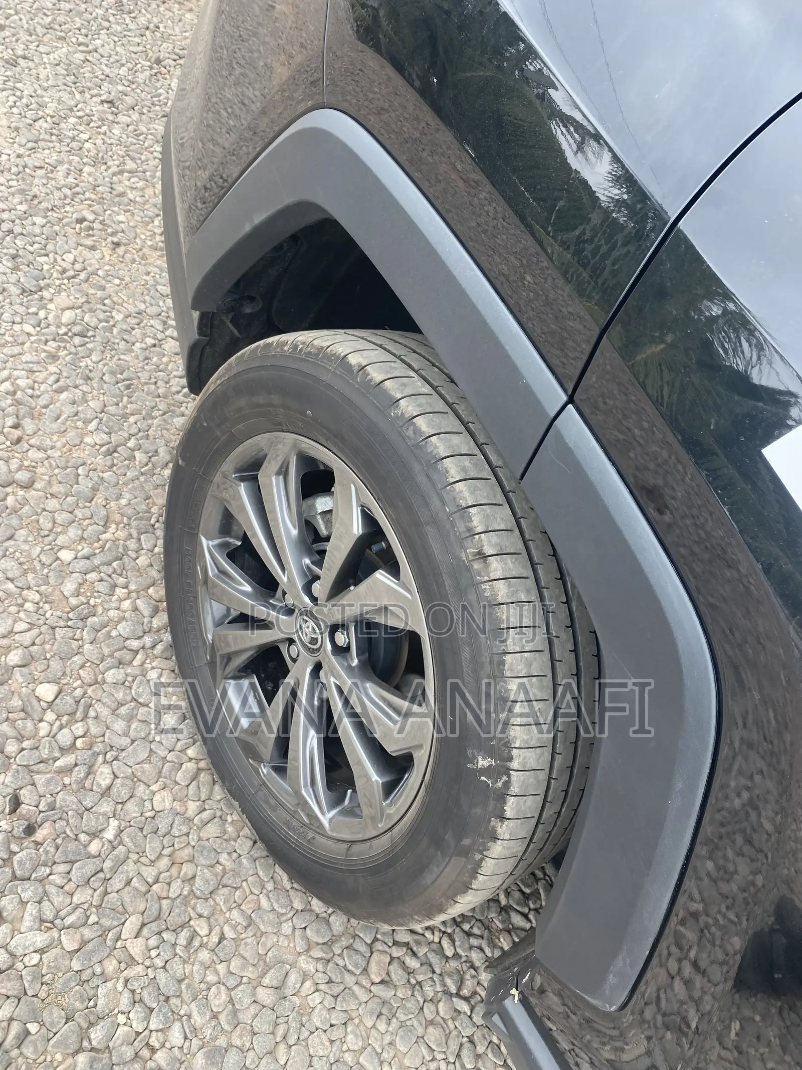 Toyota RAV4 2024 Black