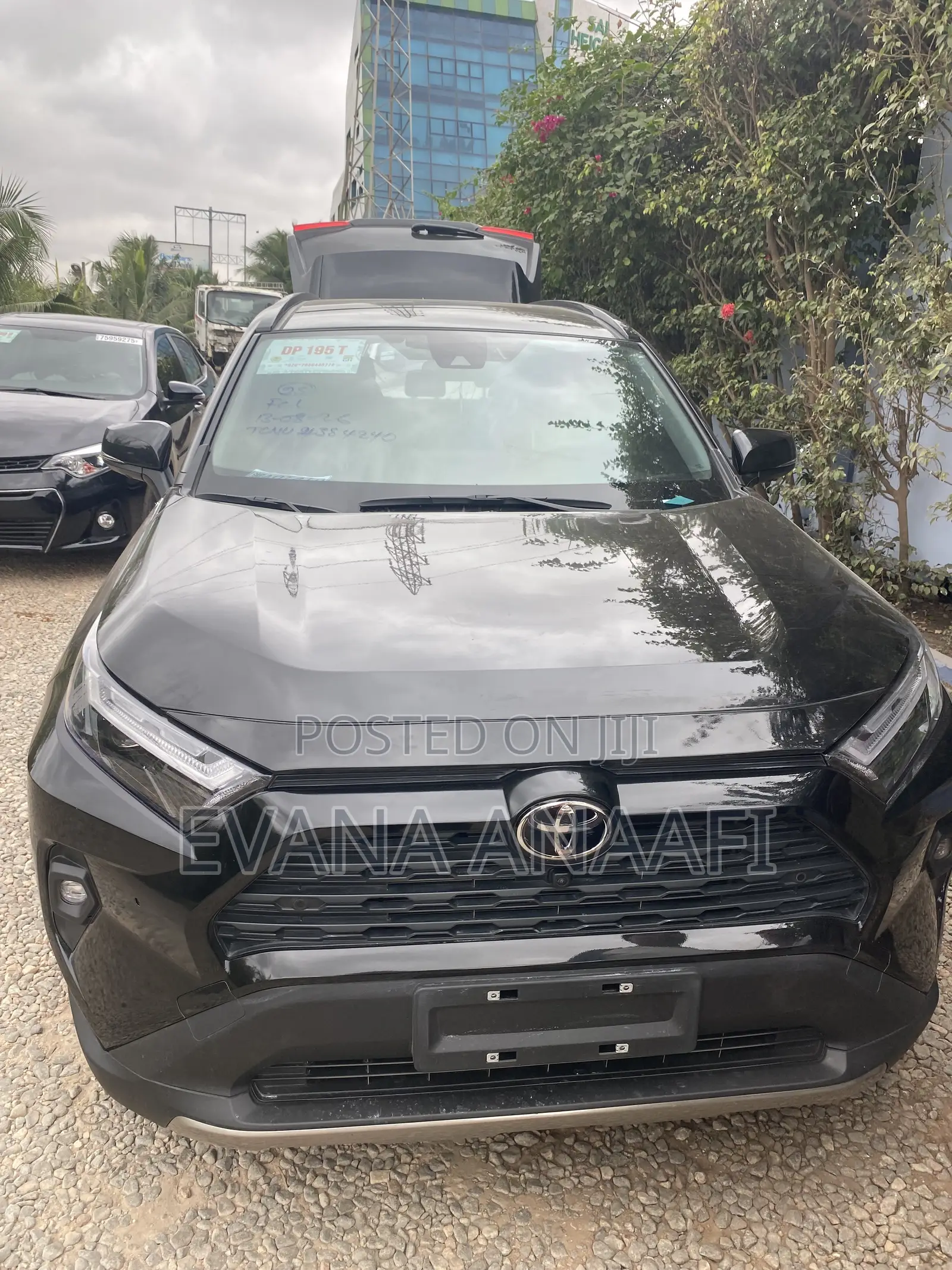 Toyota RAV4 2024 Black