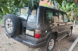 Isuzu Trooper 2002 Gray