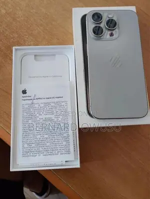 Apple iPhone 15 Pro Max 256 GB Silver
