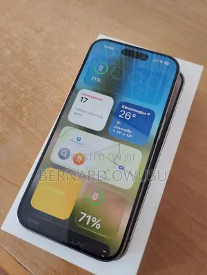 Apple iPhone 15 Pro Max 256 GB Silver