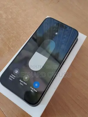 Apple iPhone 15 Pro Max 256 GB Silver