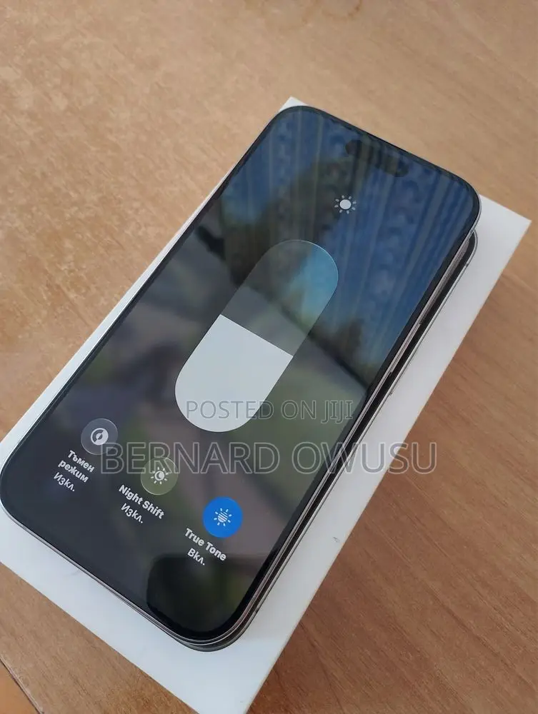 Apple iPhone 15 Pro Max 256 GB Silver