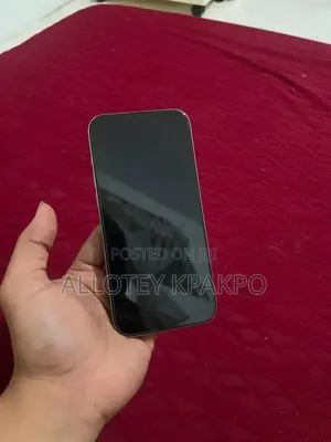 Apple iPhone 15 Pro Max 256 GB Silver