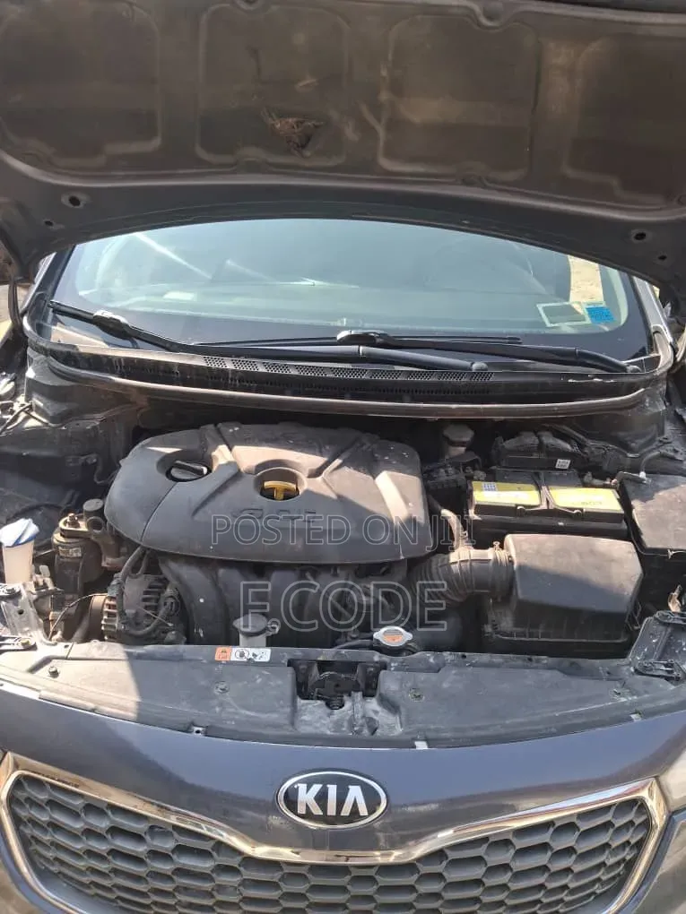 Kia Forte 2016 Gray