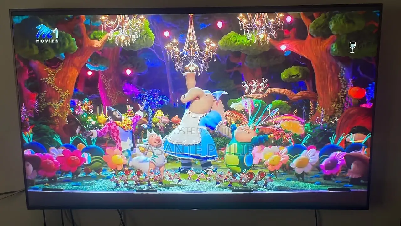 Sony Bravia TV