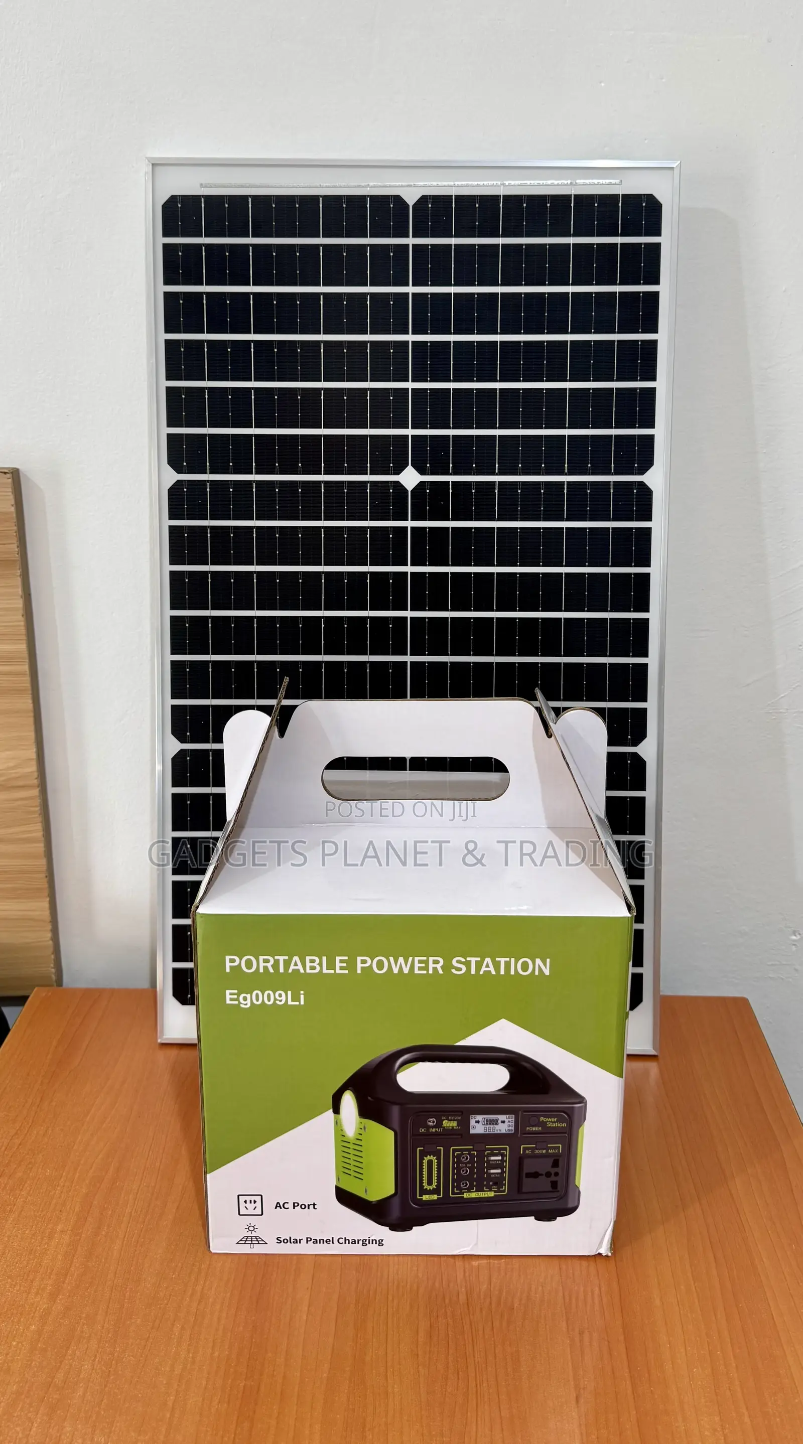 300W DC Lithium-Ion Portable Power Station With Outdoor Solar Panel