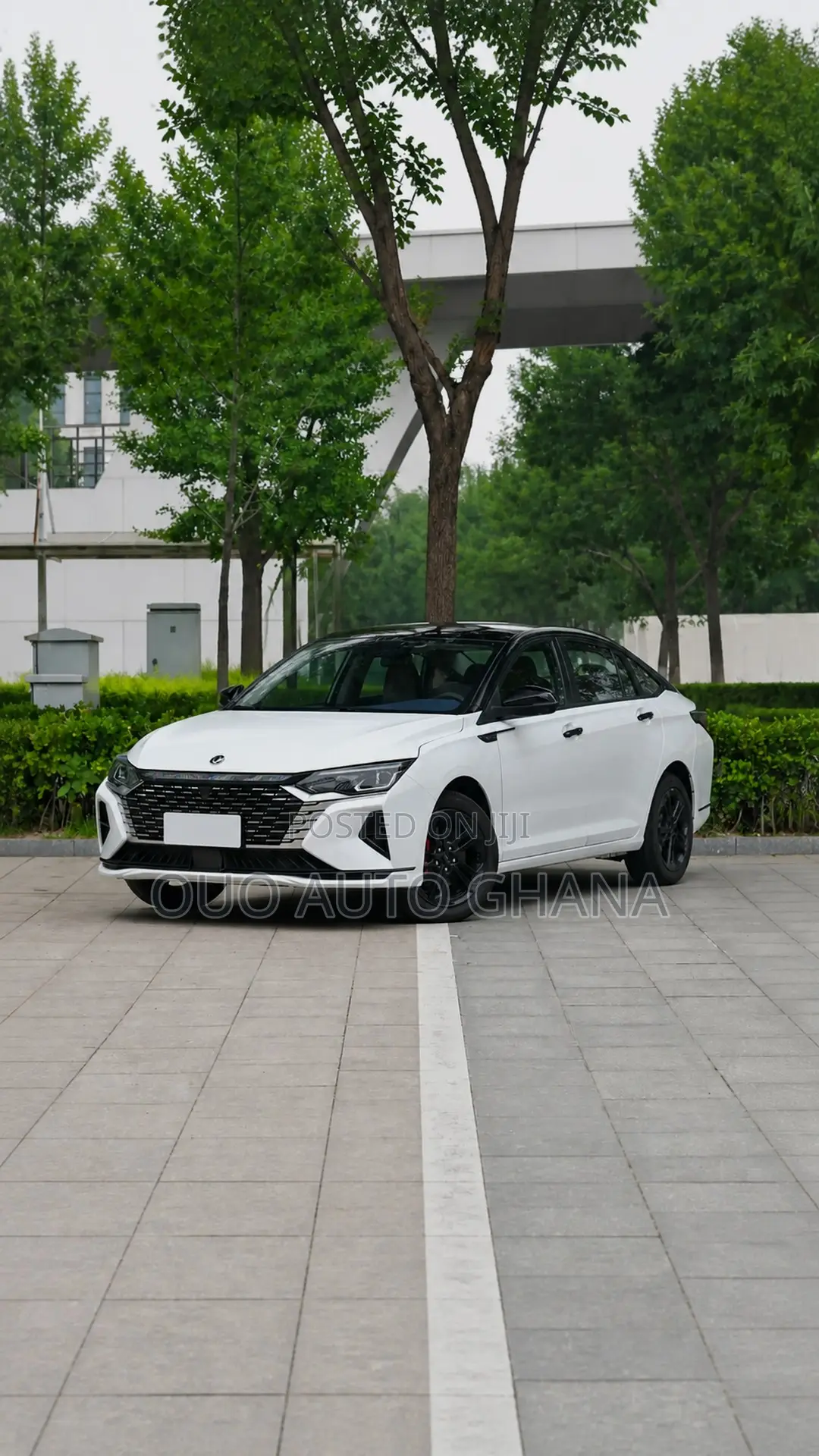 Aeolus Yixuan 1.5T Automatic Jinqing Edition 2024 White