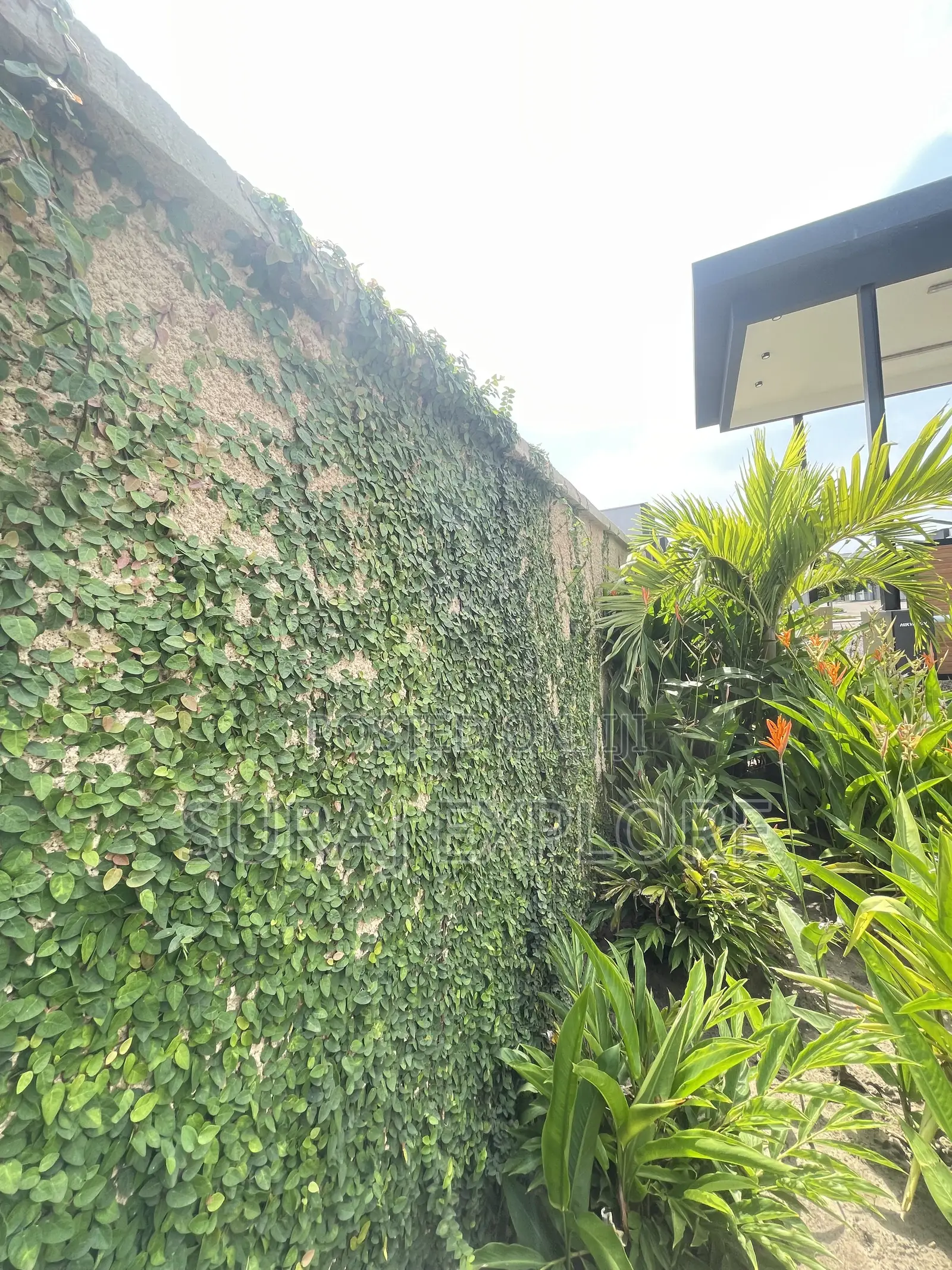 Gardening and Landscaping