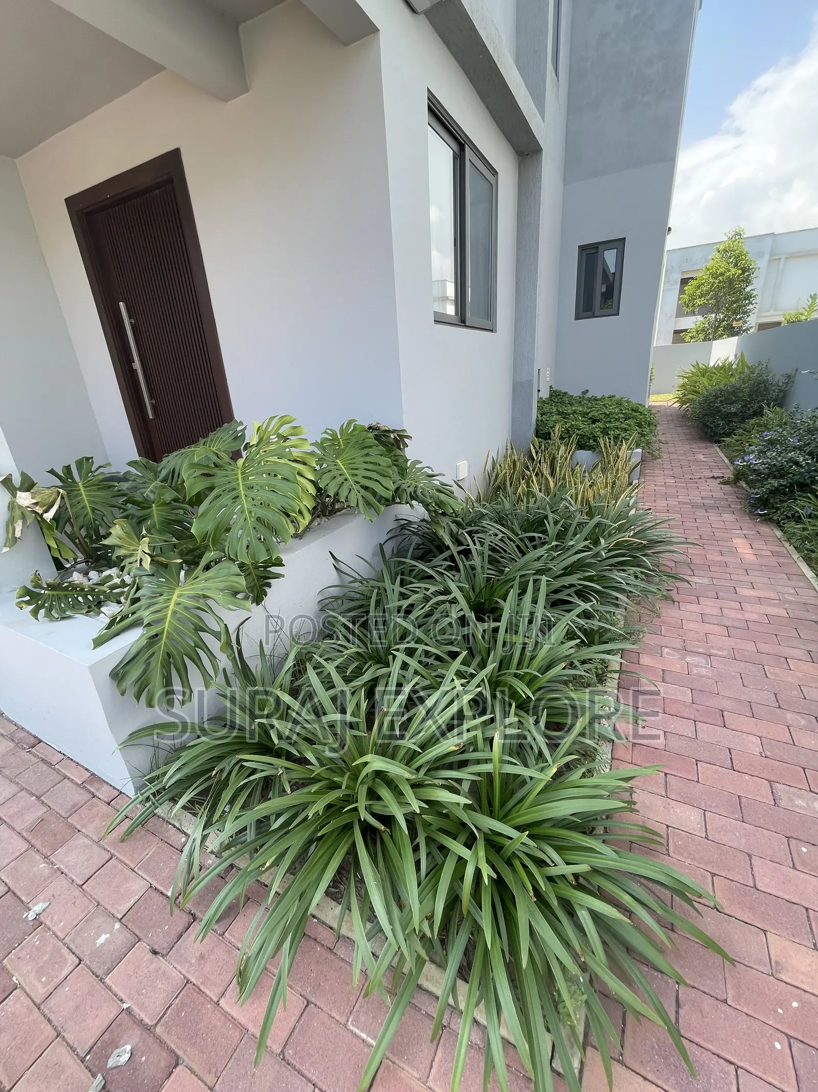 Gardening and Landscaping