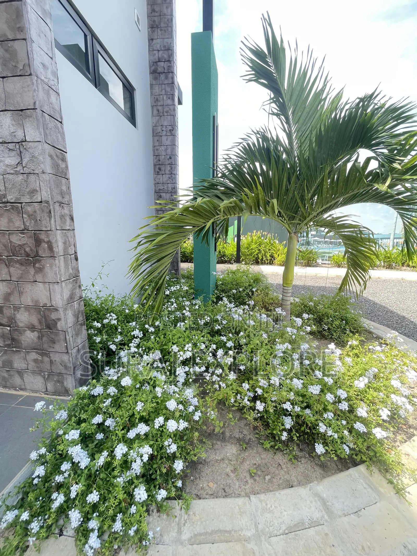 Gardening and Landscaping