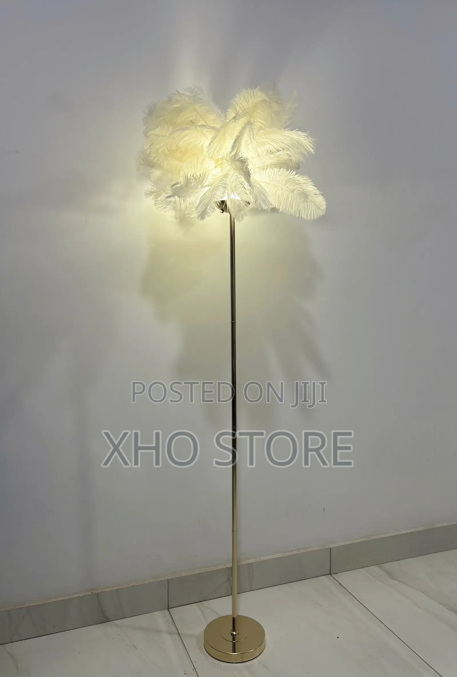 Ostrich Feather (Metal Floor Lamp)—Romantic Accent Light
