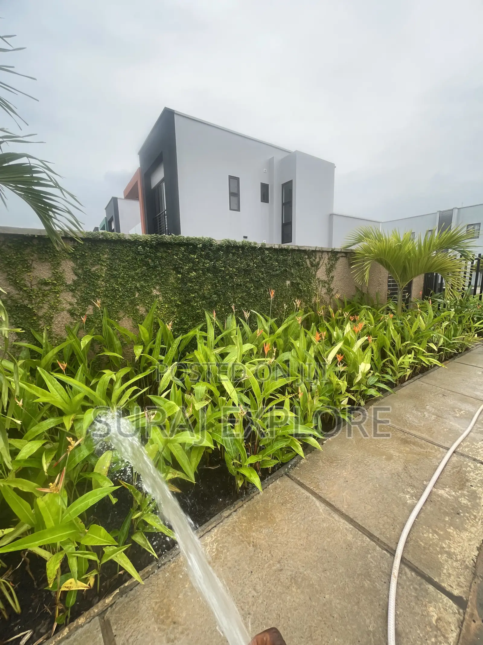 Gardening and Landscaping