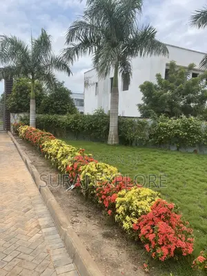Gardening and Landscaping