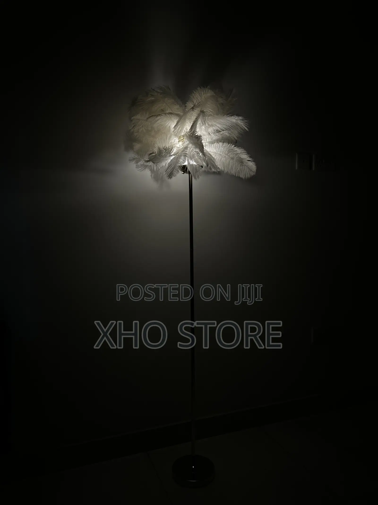 Ostrich Feather (Metal Floor Lamp)—Romantic Accent Light