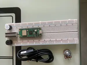 Raspberry Pi Pico W