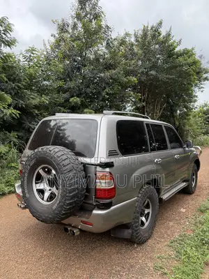 Toyota Land Cruiser 4x4 2007 Silver