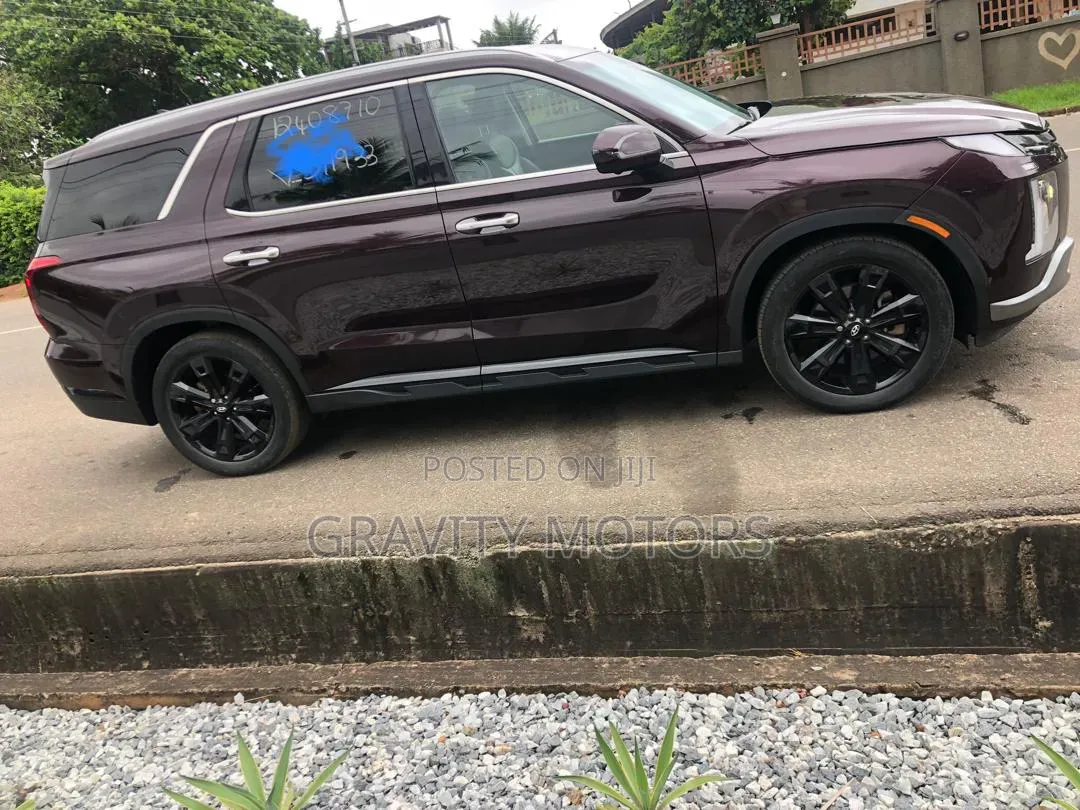 Hyundai Palisade 2024