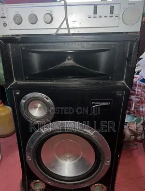 Amp and Big Speaker