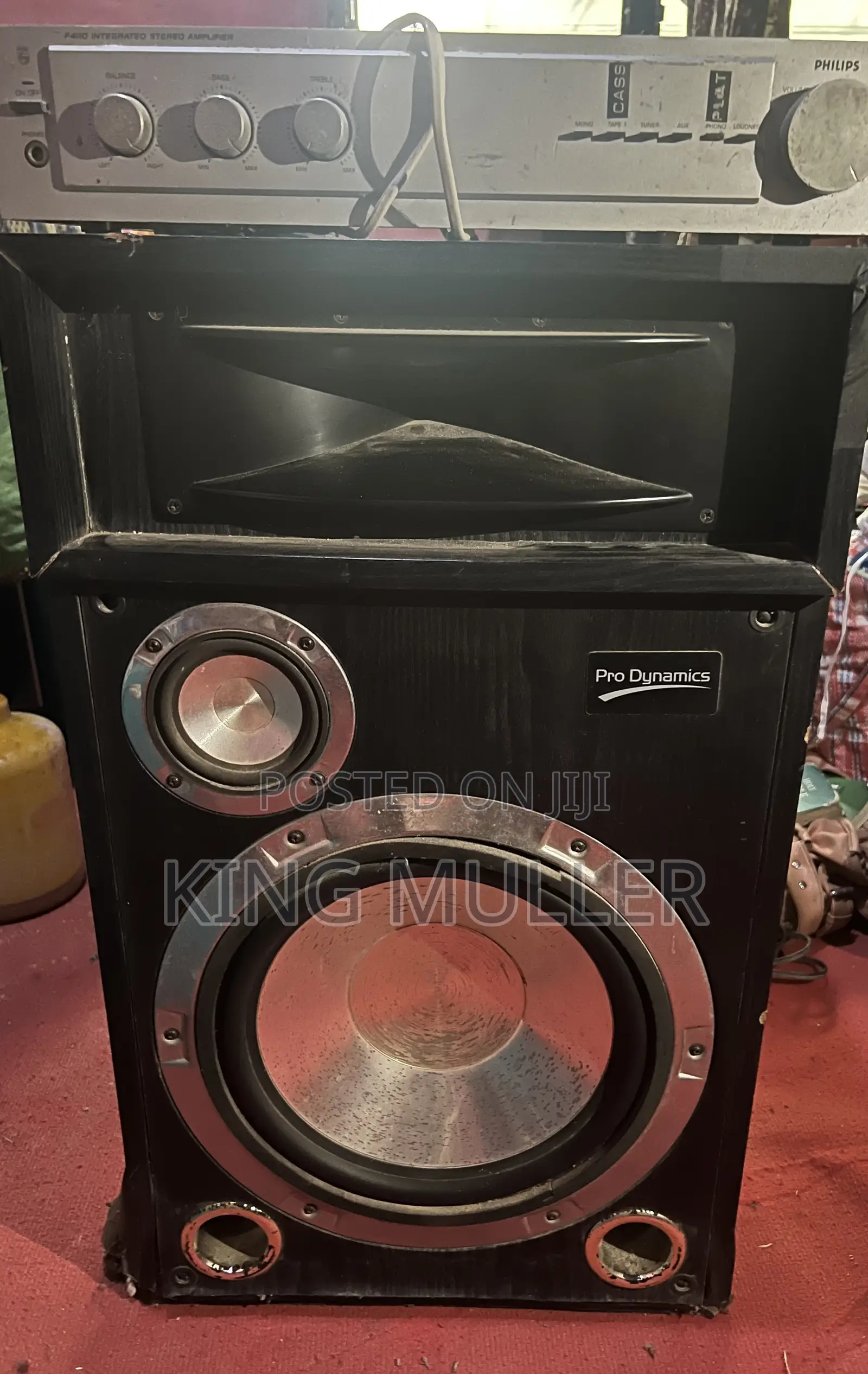 Amp and Big Speaker