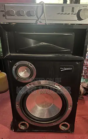 Amp and Big Speaker