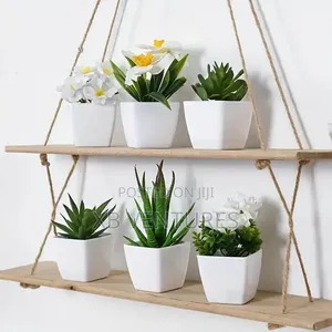 A Set of 6 Artificial Plant Bonsai, With a Realistic Feel