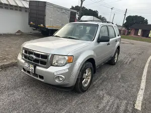 Ford Escape 2012 Silver