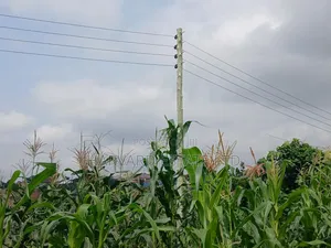 Land for Sale at Ejisu Besease