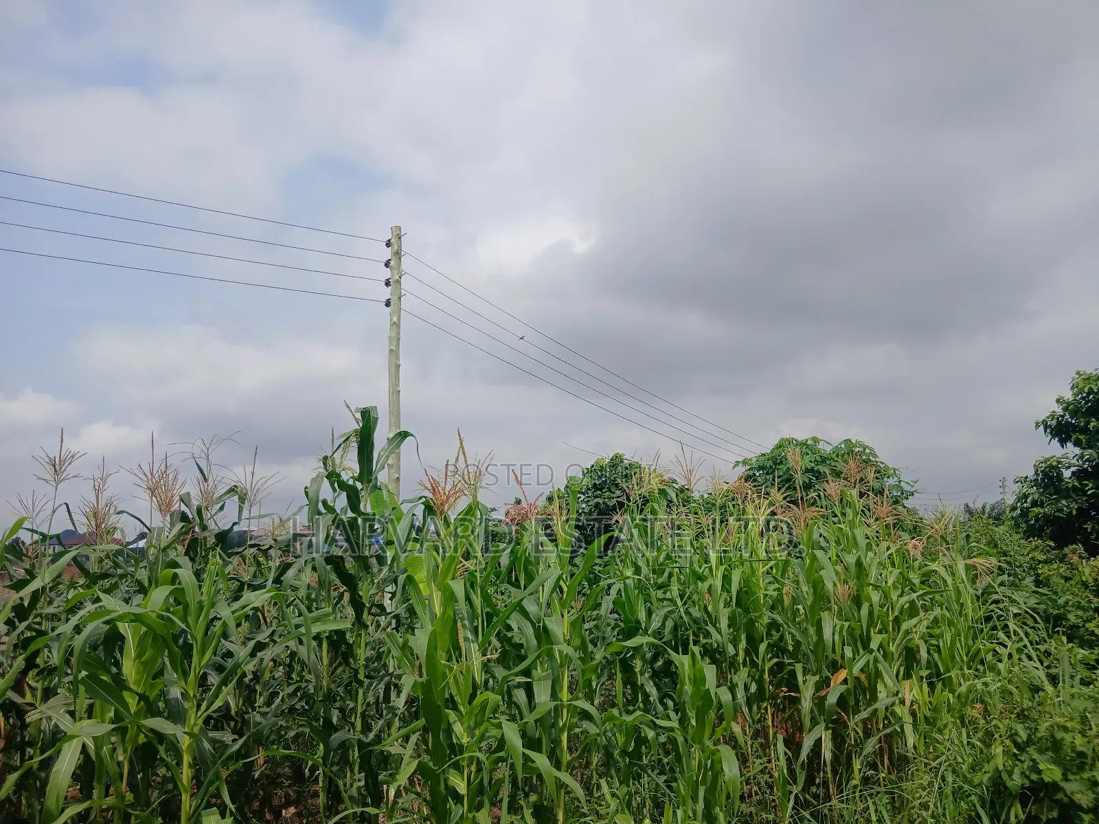 Land for Sale at Ejisu Besease