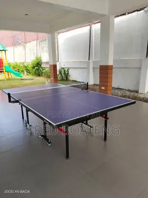 Table Tennis Board With Net and All Accessories