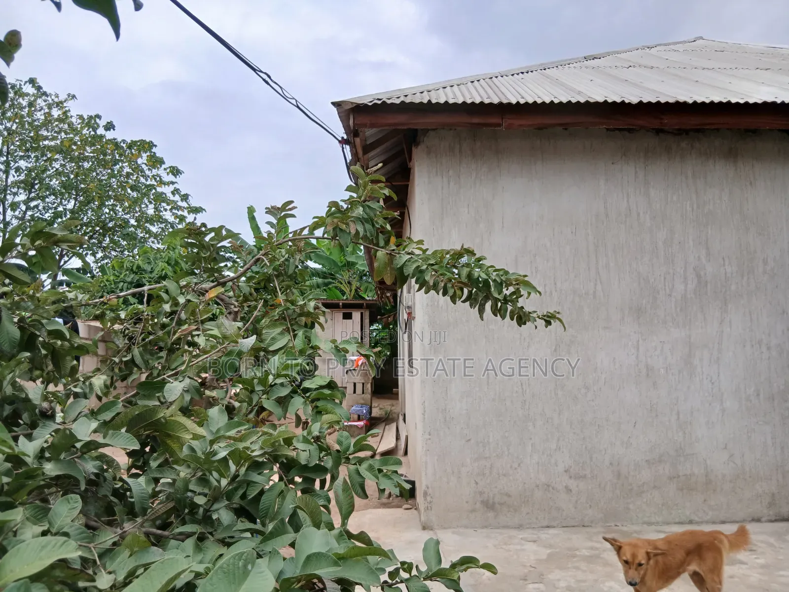 3bdrm House in Born To Pray Estate, Ejisu-Juaben Municipal for sale