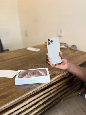 Apple iPhone 15 Pro Max 256 GB Silver