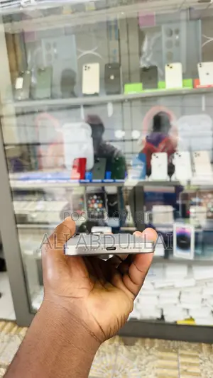 Apple iPhone 15 Pro Max 512 GB Gray