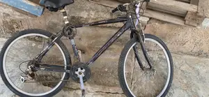 Bicycle for Sale