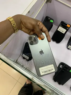 Apple iPhone 13 Pro Max 256 GB Gray