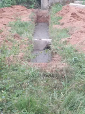 Half Plot of Land