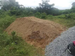 Half Plot of Land