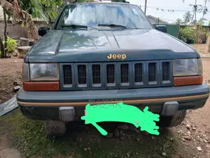 Jeep Cherokee 1994 Green
