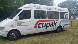 Mercedes-Benz Sprinter 2000 White