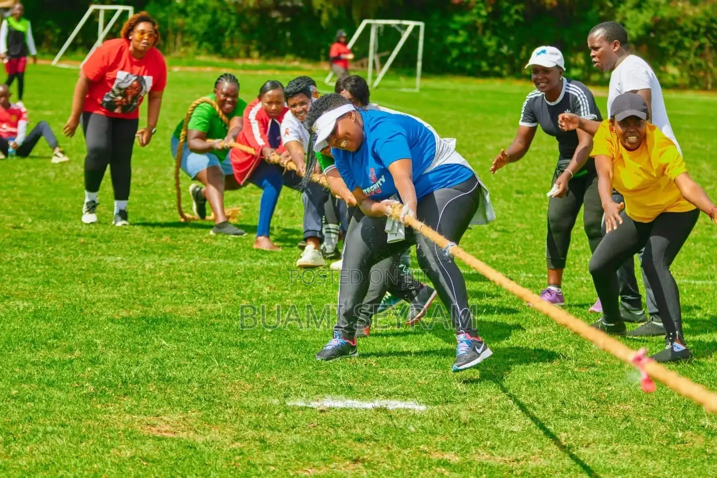 Tug of War Rope for Rent