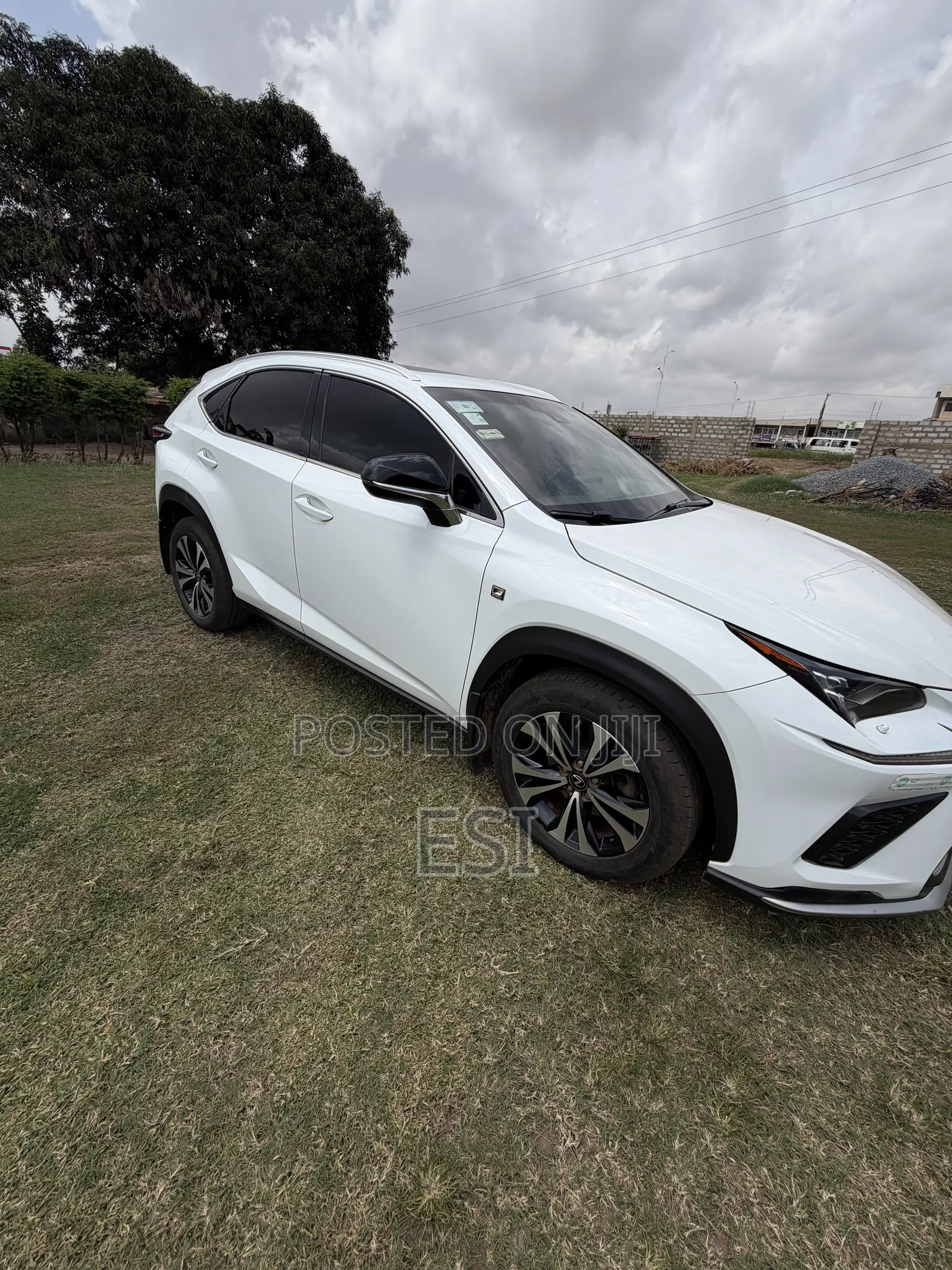 Lexus NX 2019 White