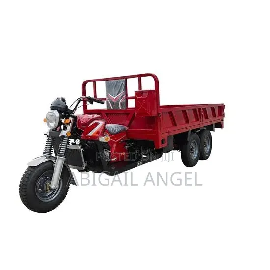New Tricycle 2025 Green