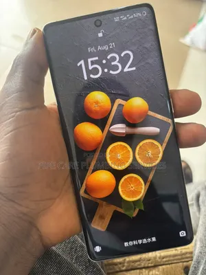 Vivo X100 Pro 512 GB Orange