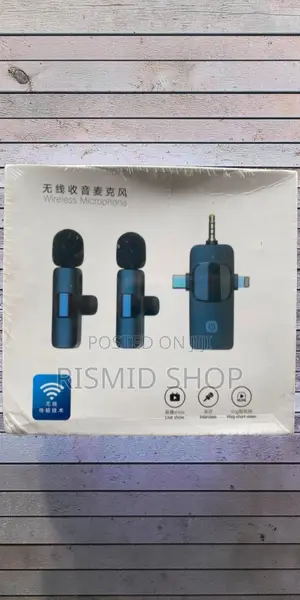 3-in-1 Wireless Microphone