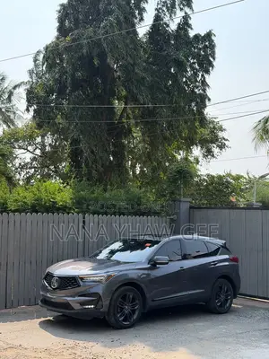 Acura RDX A-Spec Pkg SH-AWD 2020 Gray