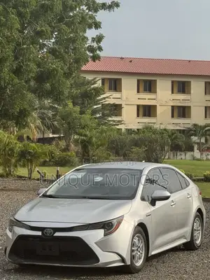 Toyota Corolla LE 2020 Gray