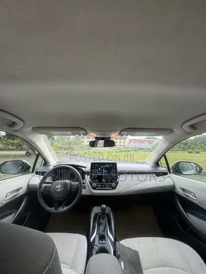 Toyota Corolla LE 2020 Gray