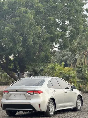 Toyota Corolla LE 2020 Gray